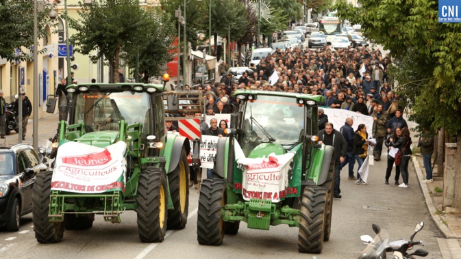 VIDEO - Manifestation des agriculteurs à Ajaccio : 
