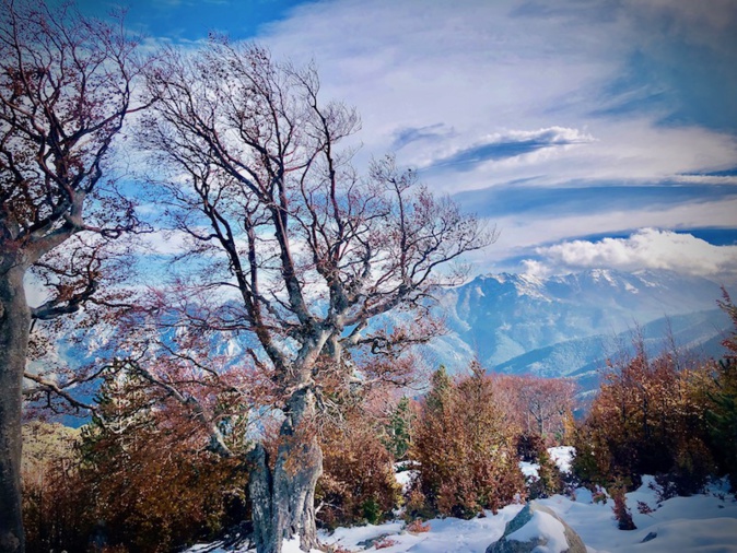 Photo Miléna Petite