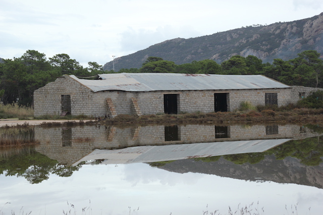 EN IMAGE - Miroir... mon beau miroir