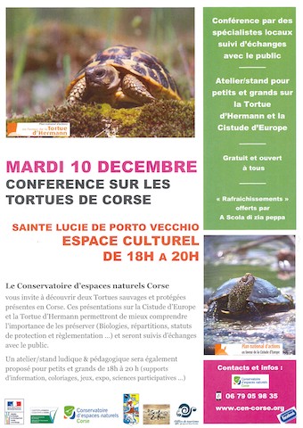 A la découverte des tortues à Sainte Lucie de Porto Vecchio