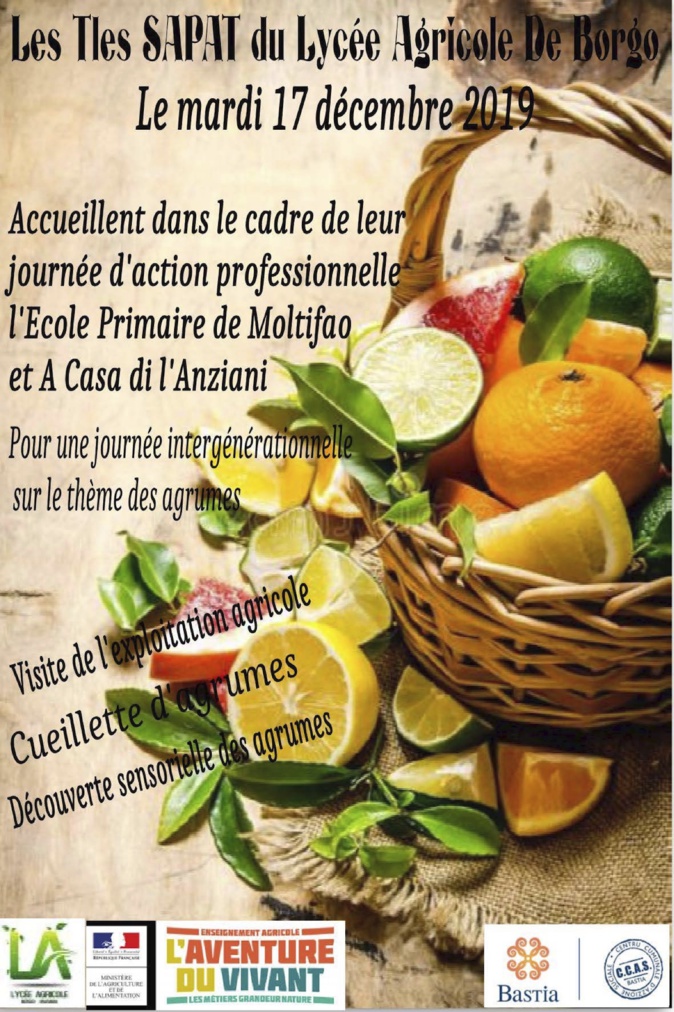 Les jeunes du lycée agricole de Borgo à la rencontre de leurs aînés et cadets Les jeunes du lycée agricole de Borgo à la rencontre de leurs aînés et cadets