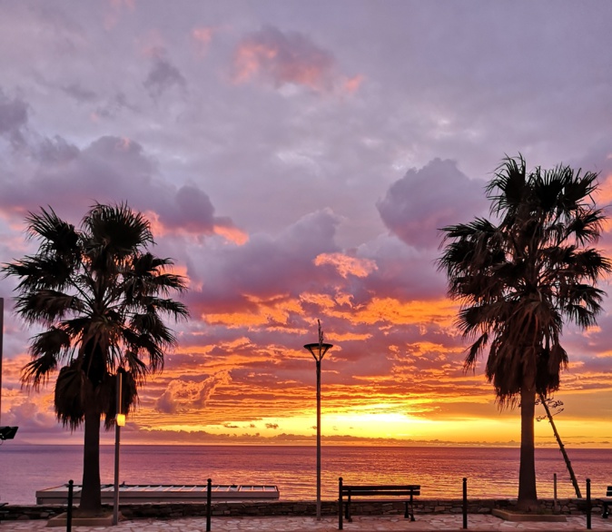 Miomu au petit matin (Gilles Pasqualini) Miomu au petit matin (Gilles Pasqualini)