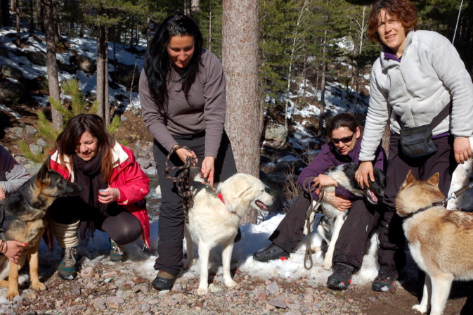 Muriel Finidori propose une cani-rando au col de Vizzavona Muriel Finidori propose une cani-rando au col de Vizzavona