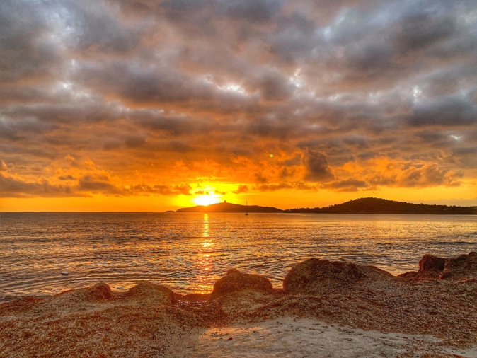 La photo du jour : Pinareddu s'éveille...