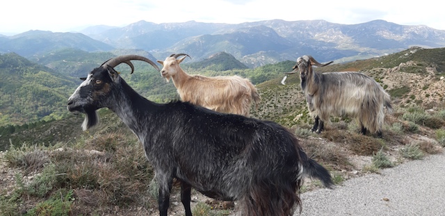 Photo  MDo Presqu'ile de Rhuys