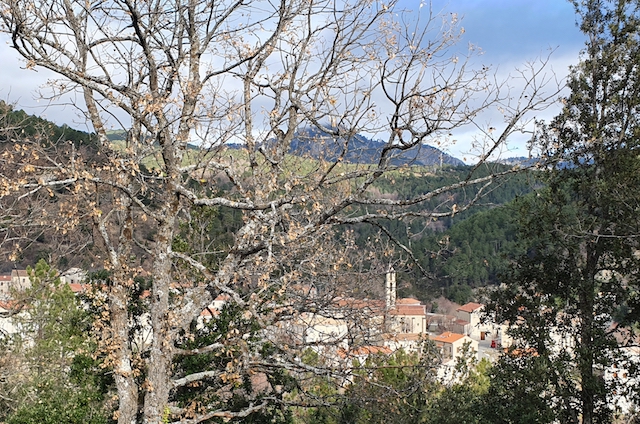 Photo Hélène Mucchielli