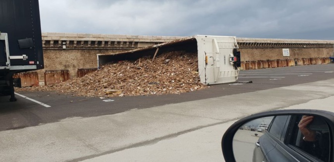 Photo RCFM. Photo RCFM.