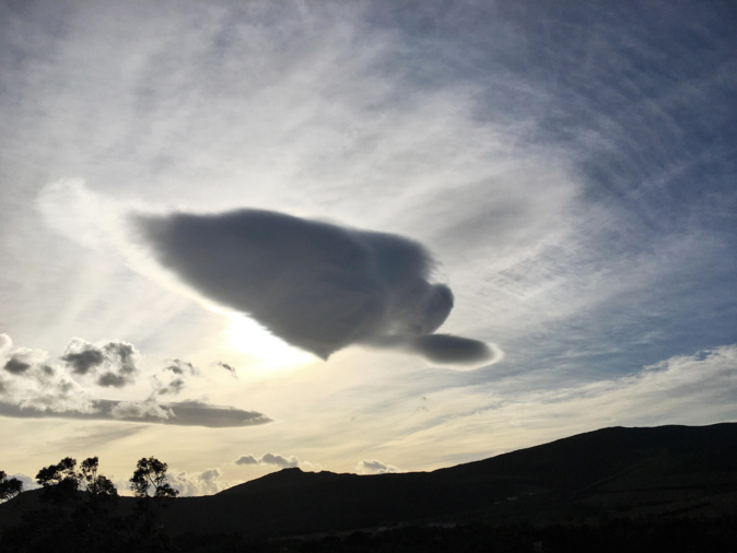 (Photo  Françoise Brulet-Multedo)