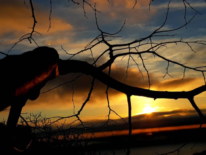La photo du jour : Lever de soleil dans les buissons de Silgaghja La photo du jour : Lever de soleil dans les buissons de Silgaghja