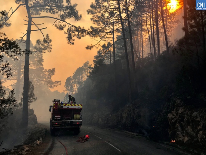 Le point sur l'incendie qui a détruit plus de 1000 hectares entre Quenza et Solaro