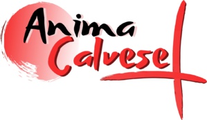 Municipales 2020 : Échos de campagne du 9 février 2020 Municipales 2020 : Échos de campagne du 9 février 2020