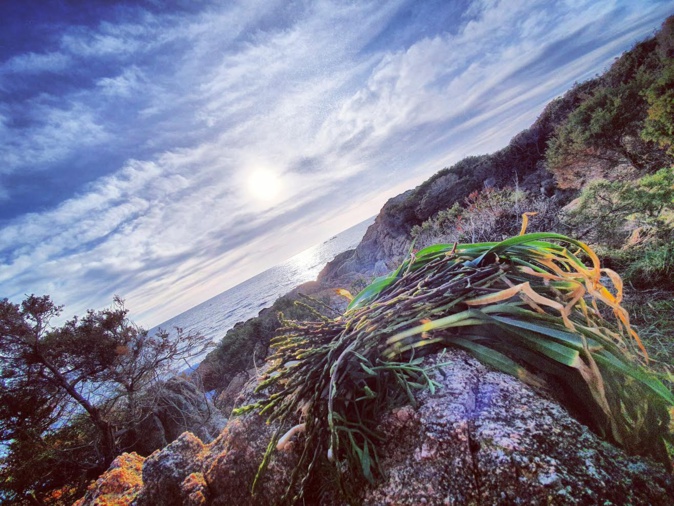 La photo du jour : coucher de Soleil sur Sollacaro La photo du jour : coucher de Soleil sur Sollacaro