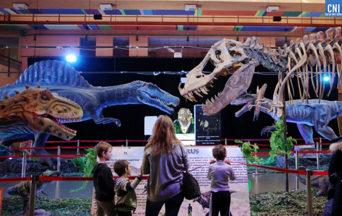 (Photo Michel Luccioni) (Photo Michel Luccioni)