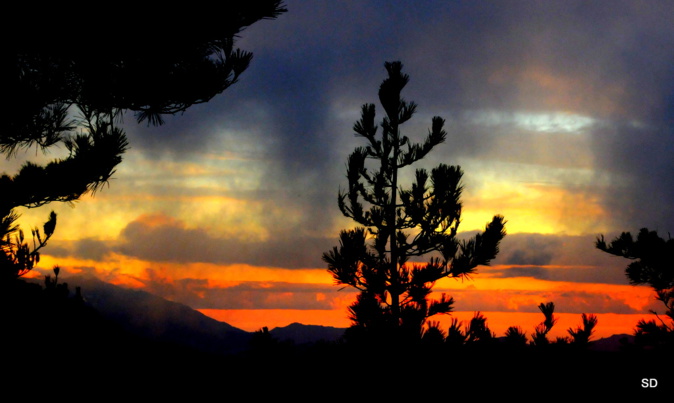 (Photo Simon Dominati) (Photo Simon Dominati)