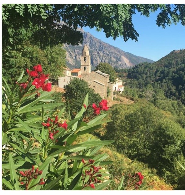 Photo : Marie-Laure Collins