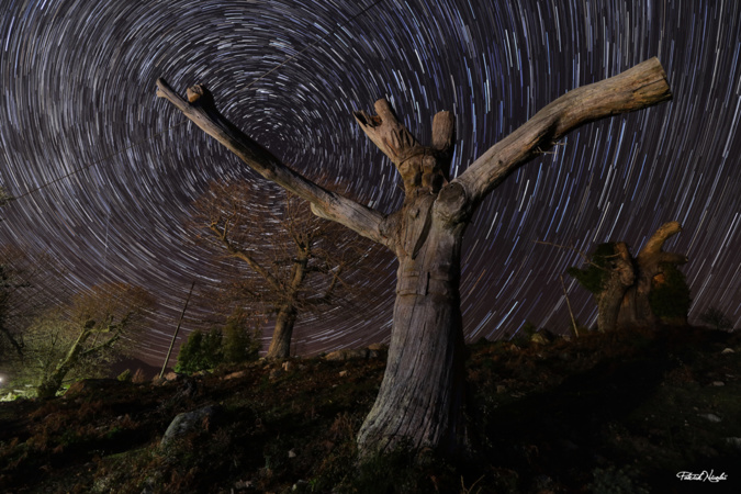 Photo : Patrick Nicolaï