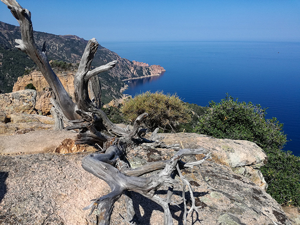 Piana par notre lecteur L.L