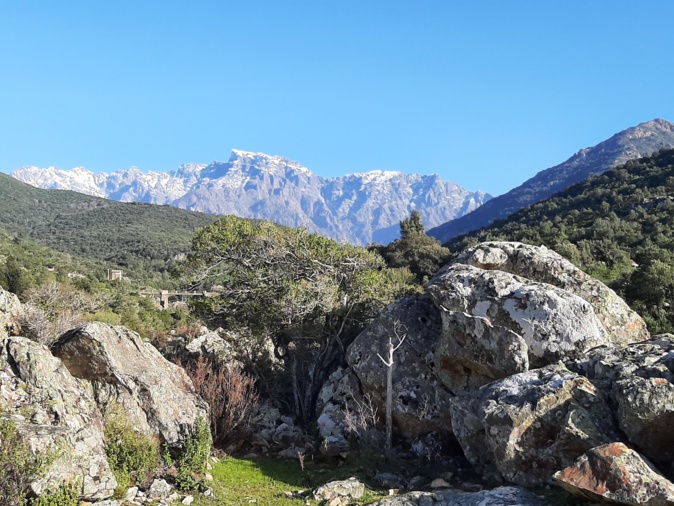 La photo du jour : A Paglia Orba vue de la vallée du Fangu La photo du jour : A Paglia Orba vue de la vallée du Fangu