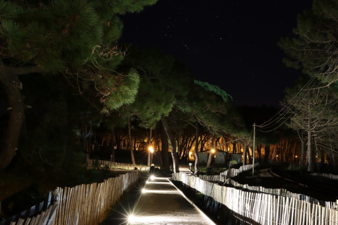 Promenade et pinède de Calvi