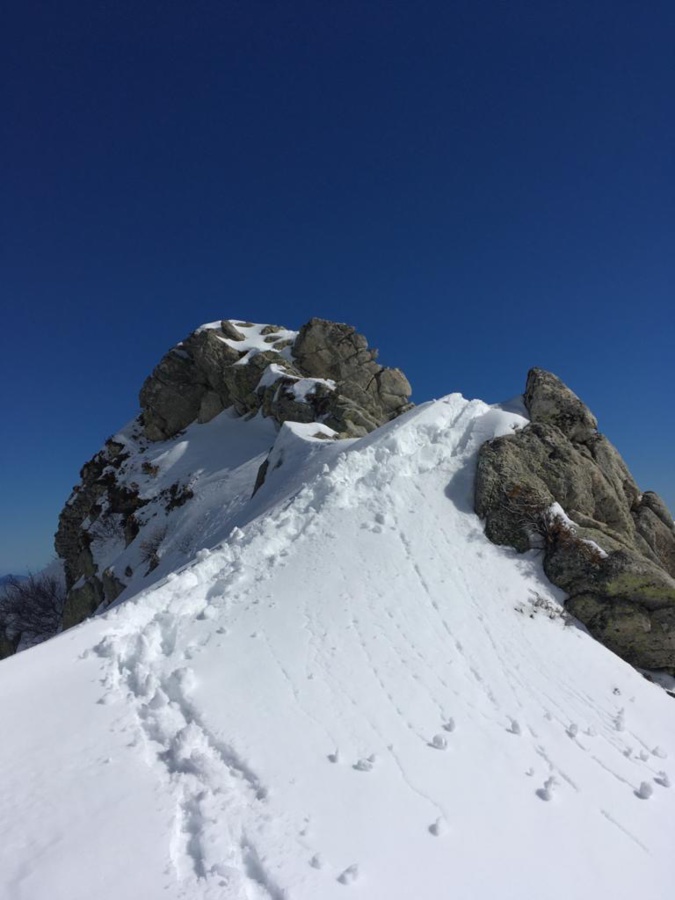 Vers pinzi curbini. (Pierre-Christophe Leoni) Vers pinzi curbini. (Pierre-Christophe Leoni)