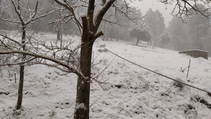 EN IMAGES - Météo : la neige au rendez-vous en Corse EN IMAGES - Météo : la neige au rendez-vous en Corse