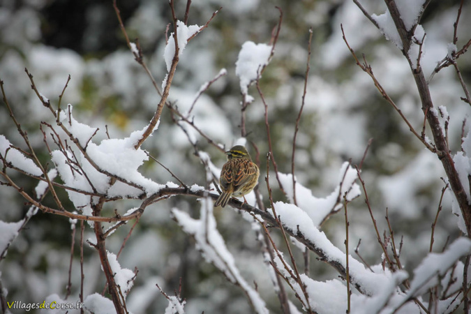 Les photos de cette neige de printemps que vous avez partagées avec nous Les photos de cette neige de printemps que vous avez partagées avec nous
