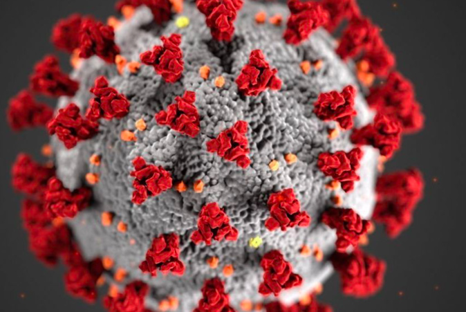 Coronavirus. Nouveau record de décès en Italie : près de 1000 morts en une journée