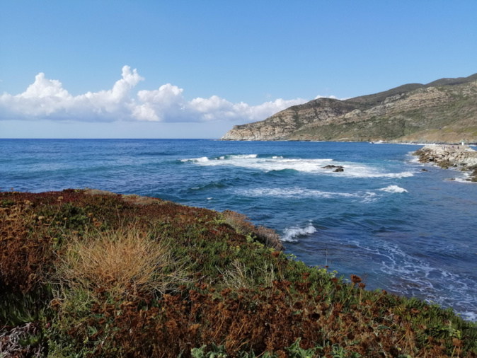 Barcaggio : En attendant les beaux jours (Sophie Anton) Barcaggio : En attendant les beaux jours (Sophie Anton)