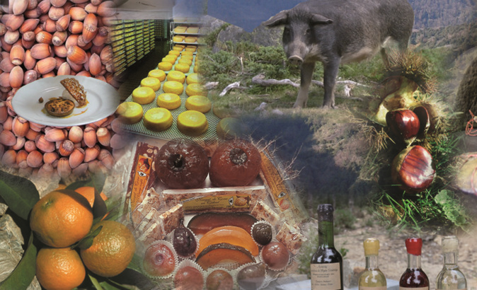 Confinement : et si on soutenait les agriculteurs corses en mangeant local ? Confinement : et si on soutenait les agriculteurs corses en mangeant local ?