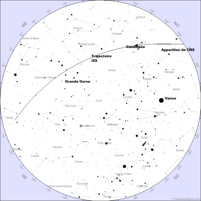 Coronavirus : Confinés, la tête dans les étoiles ! Coronavirus : Confinés, la tête dans les étoiles !
