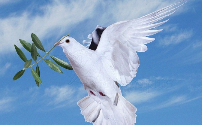 Journal du confinement, jour 18 : "Et si un autre Monde était possible ?' Journal du confinement, jour 18 : "Et si un autre Monde était possible ?'