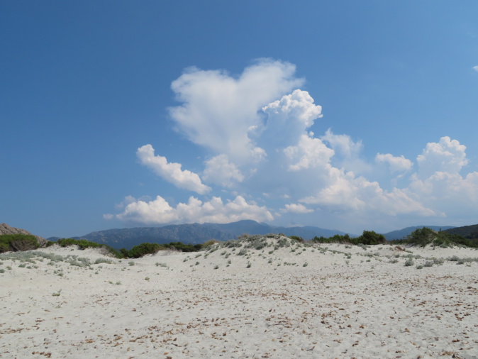 (Françoise Geronimi)