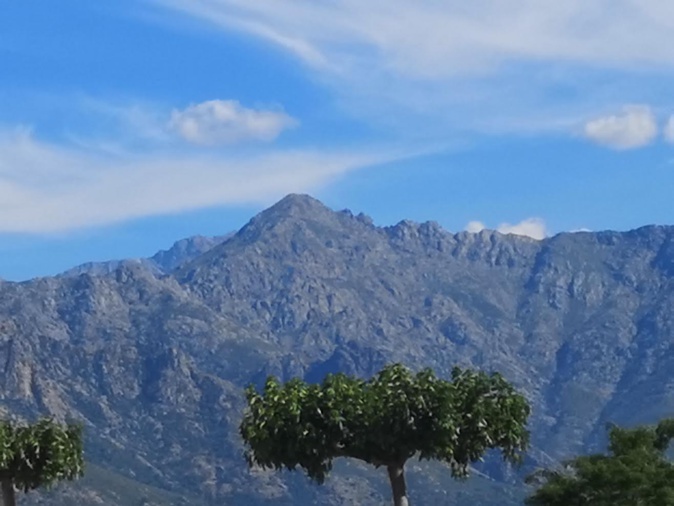 (Françoise Geronimi) (Françoise Geronimi)