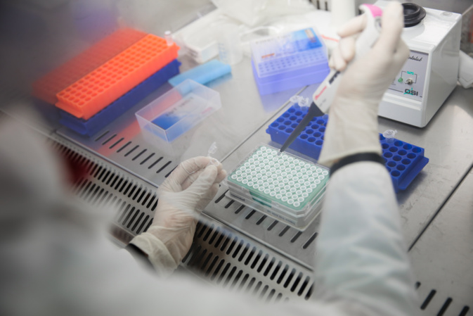 Raphaël Poletti / Université de Corse Raphaël Poletti / Université de Corse