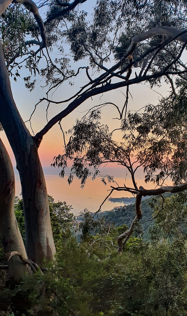 Marinella, depuis le sentier des Crêtes (M. Saliou)