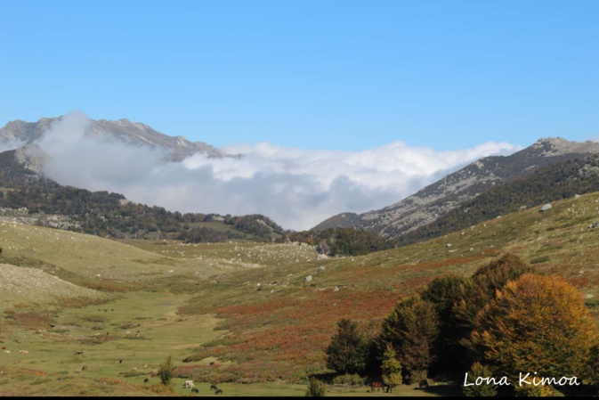 La photo du jour : quand la brume enveloppe le plateau du Coscione La photo du jour : quand la brume enveloppe le plateau du Coscione