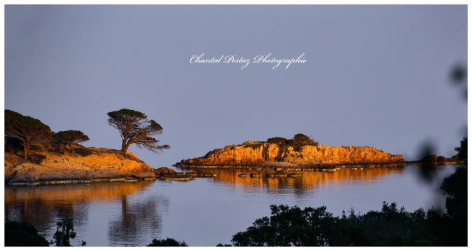 La photo du jour : la Punta d'Acciaghju à Porto- Vecchio La photo du jour : la Punta d'Acciaghju à Porto- Vecchio