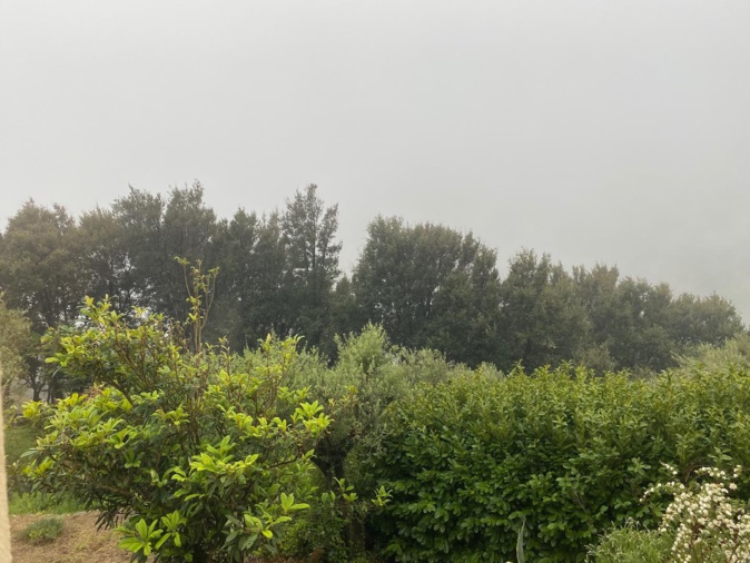 Pollution aux particules fines en Corse : au moins jusqu'à dimanche Pollution aux particules fines en Corse : au moins jusqu'à dimanche