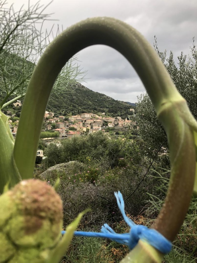 La photo du jour : Urtaca vu du peddi mughju