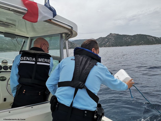 (Photo Gendarmerie de Corse) (Photo Gendarmerie de Corse)