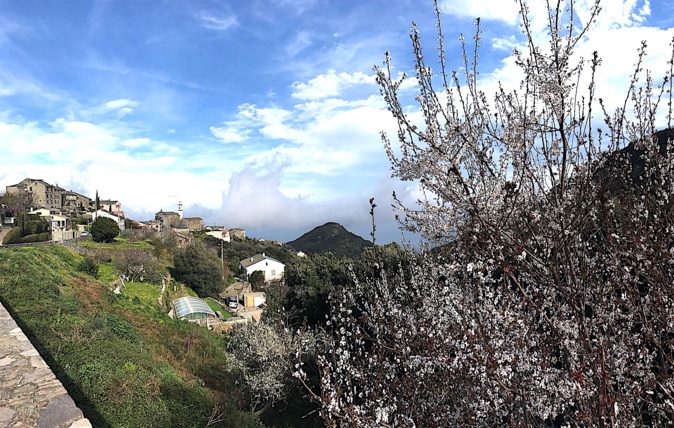 Au village de San Martinu di Lota (Photo CNI) Au village de San Martinu di Lota (Photo CNI)