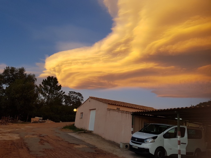 (A. Camus) (A. Camus)