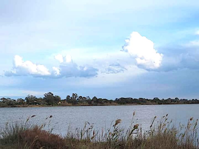 L'étang de Chjurlinu (Françoise Geronimi)