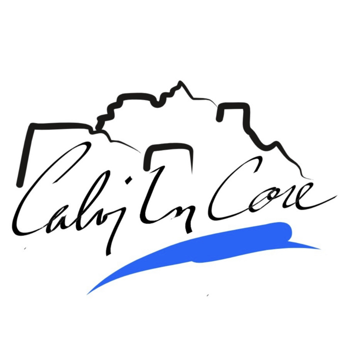 Covid-19 : Les propositions de Calvi in Core pour gérer la crise sanitaire Covid-19 : Les propositions de Calvi in Core pour gérer la crise sanitaire