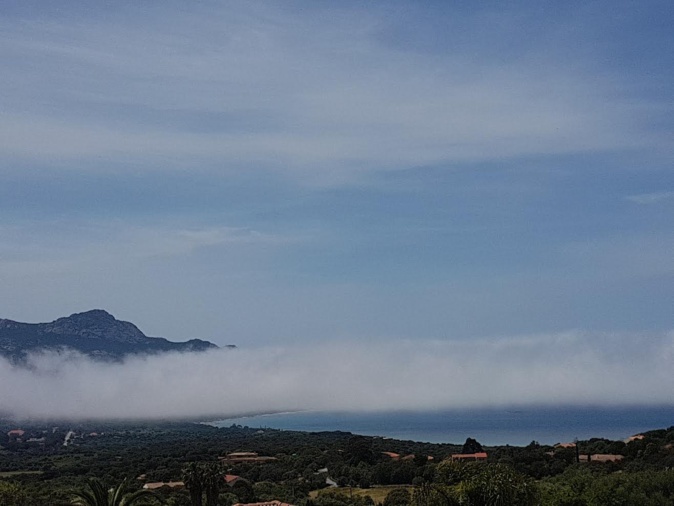 Calvi, mardu (Photo Patrick Napolitano)