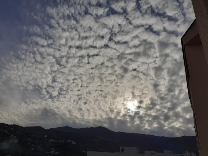 (Françoise Geronimi)