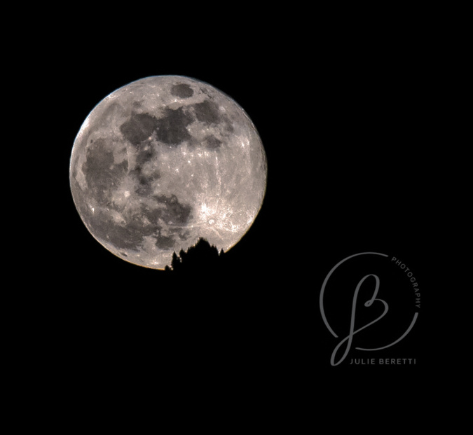 julieberettiphotographie julieberettiphotographie