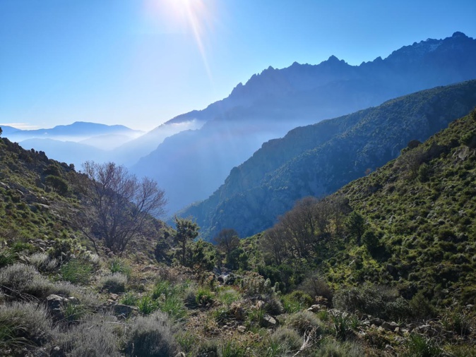 (Photo Françoise Geronimi)