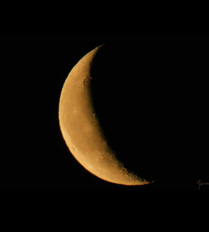 La photo du jour : « La Lune de la nuit dernière »