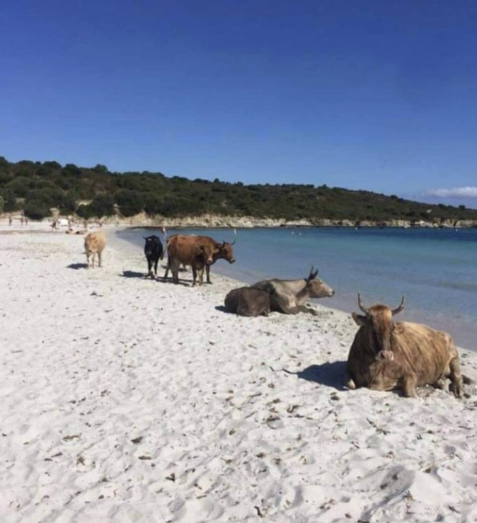 Photo Instagram Luduc2b